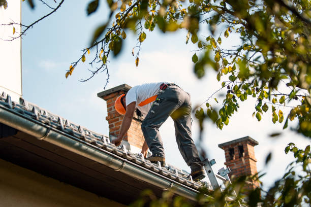 Best Metal Roofing Contractor  in Sheldon, IL