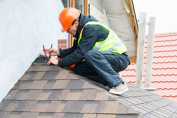 Best Roof Gutter Cleaning  in Sheldon, IL