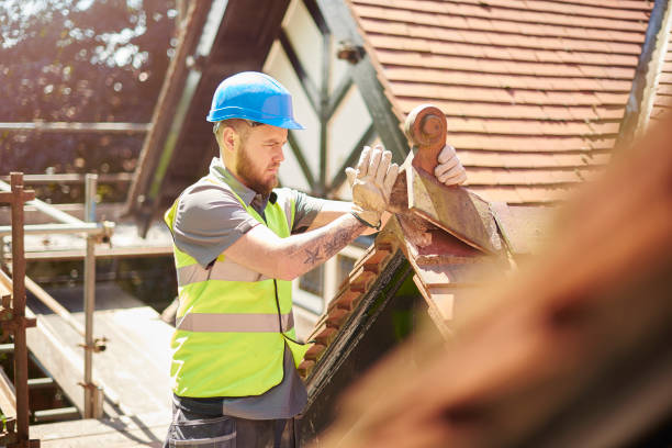 Professional Roofing Contractor in Sheldon, IL