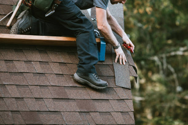 Best Commercial Roof Installation  in Sheldon, IL