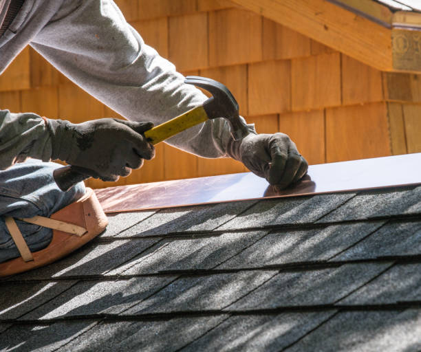 Best Flat Roof Repair Services  in Sheldon, IL